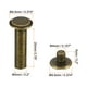 thumbnail image 2 of 50 Conjuntos de Tornillos Chicago, M5x20mm Tornillo Chicago con recubrimiento de latón, Poste de tornillo Phillips para cuero, Marrón, 2 of 7