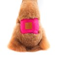 thumbnail image 4 of CAROOTU Couches Réutilisables Lavables pour Chien Coton Respirant Chiot Bandes de Ventre Crochet & Boucle Sanitaire Réglable Pantalon pour Animal de Compagnie, 4 of 7