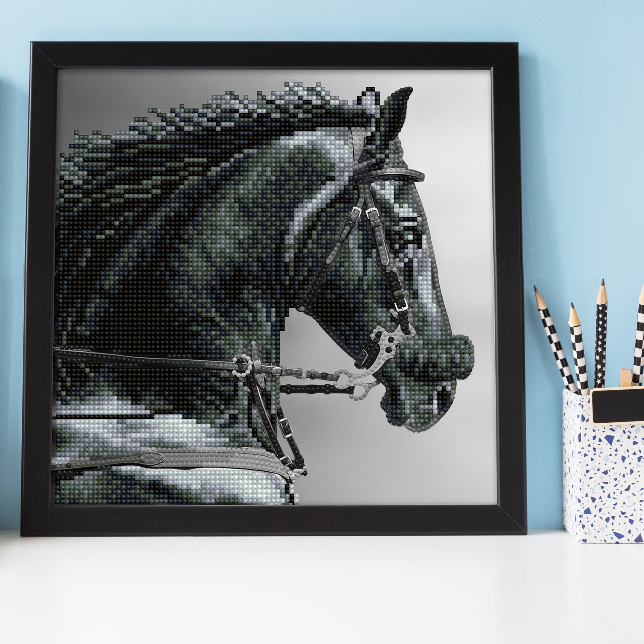 ダイヤモンドアートクラブ SedomaMajesty DIAMOND DOTZ® Majesty Special Edition Diamond Painting Kit