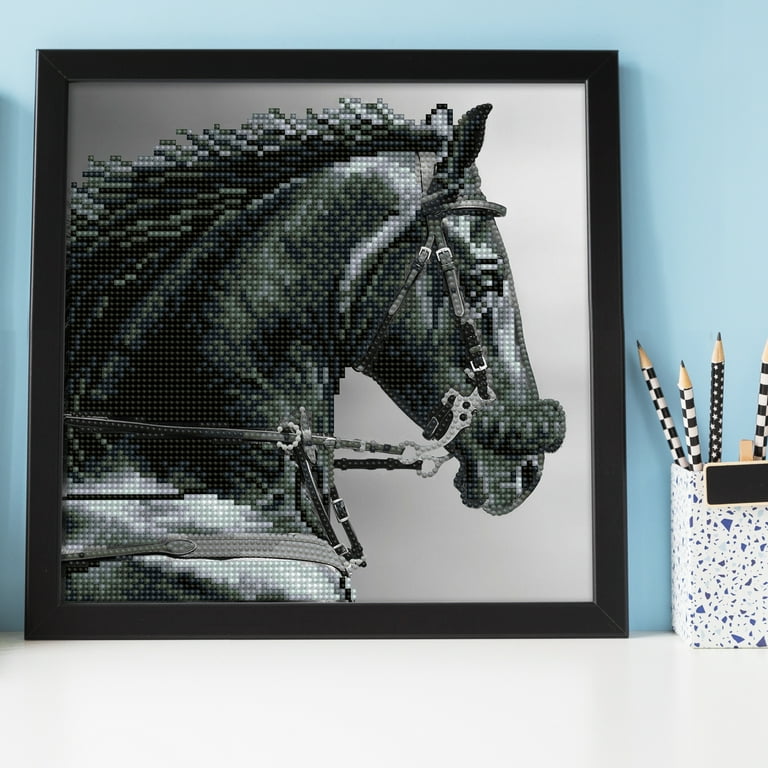 DIAMOND DOTZ® Majesty Special Edition Diamond Painting Kit