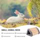 thumbnail image 3 of Cama para conejillos de indias, casa pequeña para hámster, escondite para hámster de felpa, cama nido cálida para cobayas, ratas y chinchillas, 3 of 5
