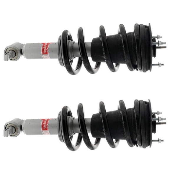 BuyAutoParts Shock and Strut Set 77-74912C8