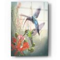 thumbnail image 1 of Epic Art 'Hummingbird Cycle I' by Steve Hunziker, Acrylic Glass Wall Art, 12"x16", 1 of 2