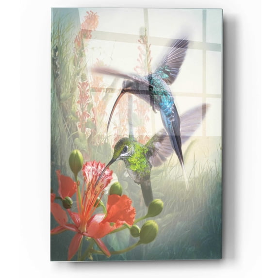 Epic Art 'Hummingbird Cycle I' by Steve Hunziker, Acrylic Glass Wall Art, 12"x16"
