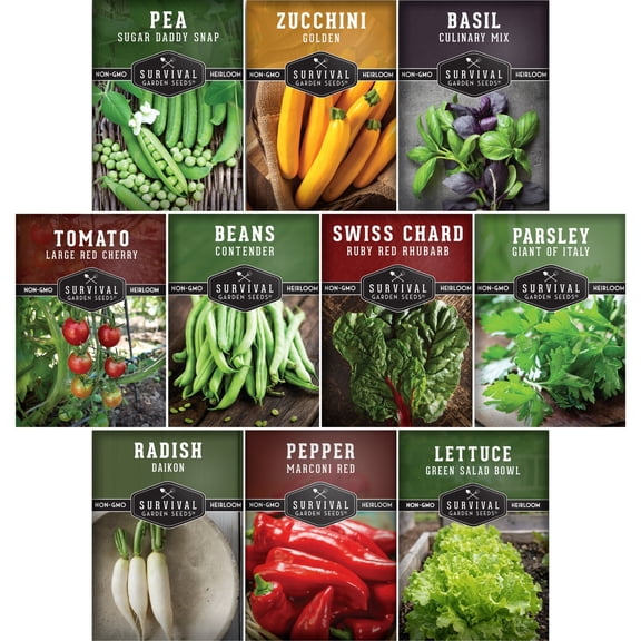 10 Pack Easy to Grow Vegetable Seeds - Full Sun, Annual Non-GMO Varieties