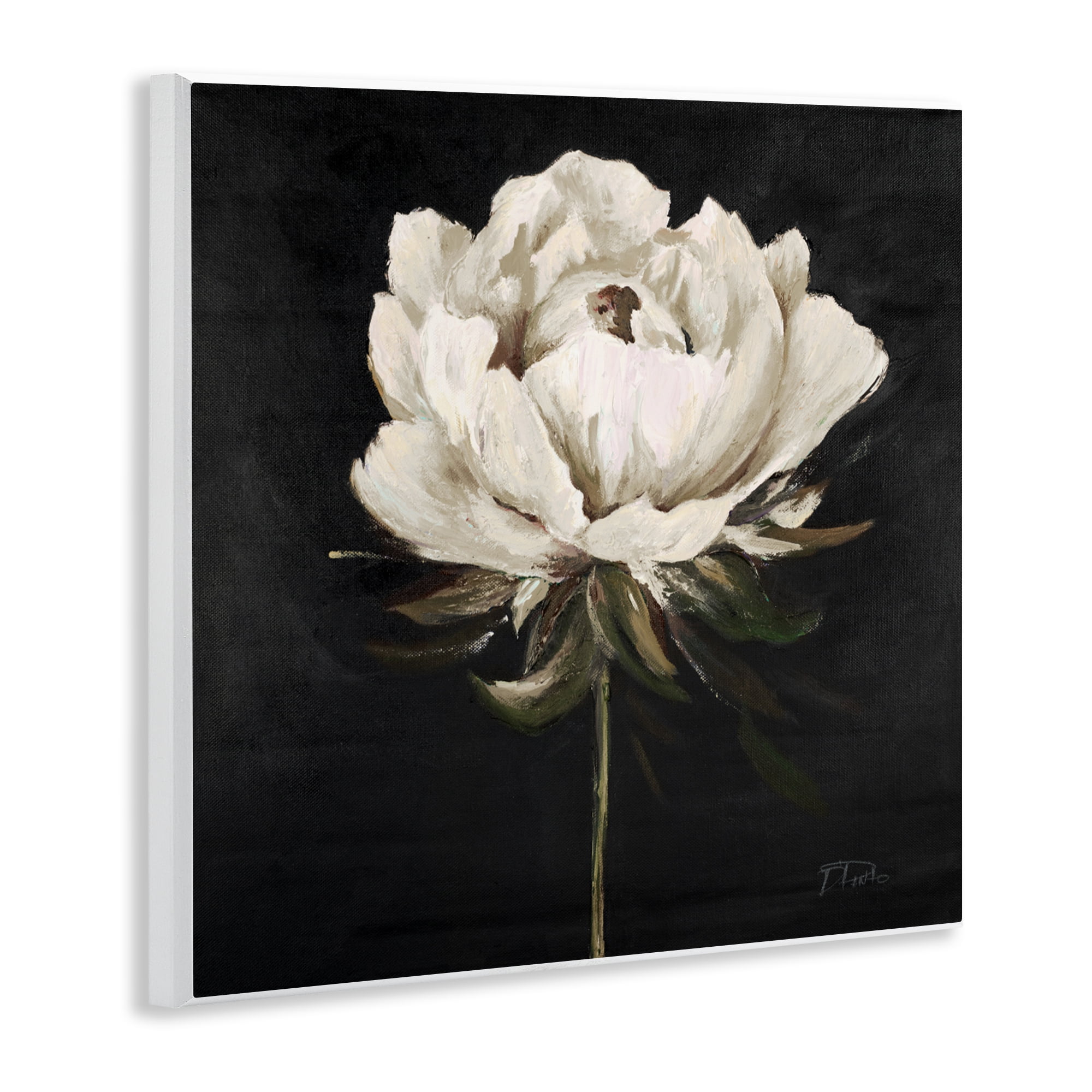 Stupell Industries Pretty Delicate Bloom on Black Wall Plaque Art, design by Patricia Pinto