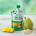 thumbnail image 5 of Beech-Nut Stage 4 Toddler Food, Pear Mango Yogurt & Granola, 3.5 oz Pouch (12 Pack), 5 of 10
