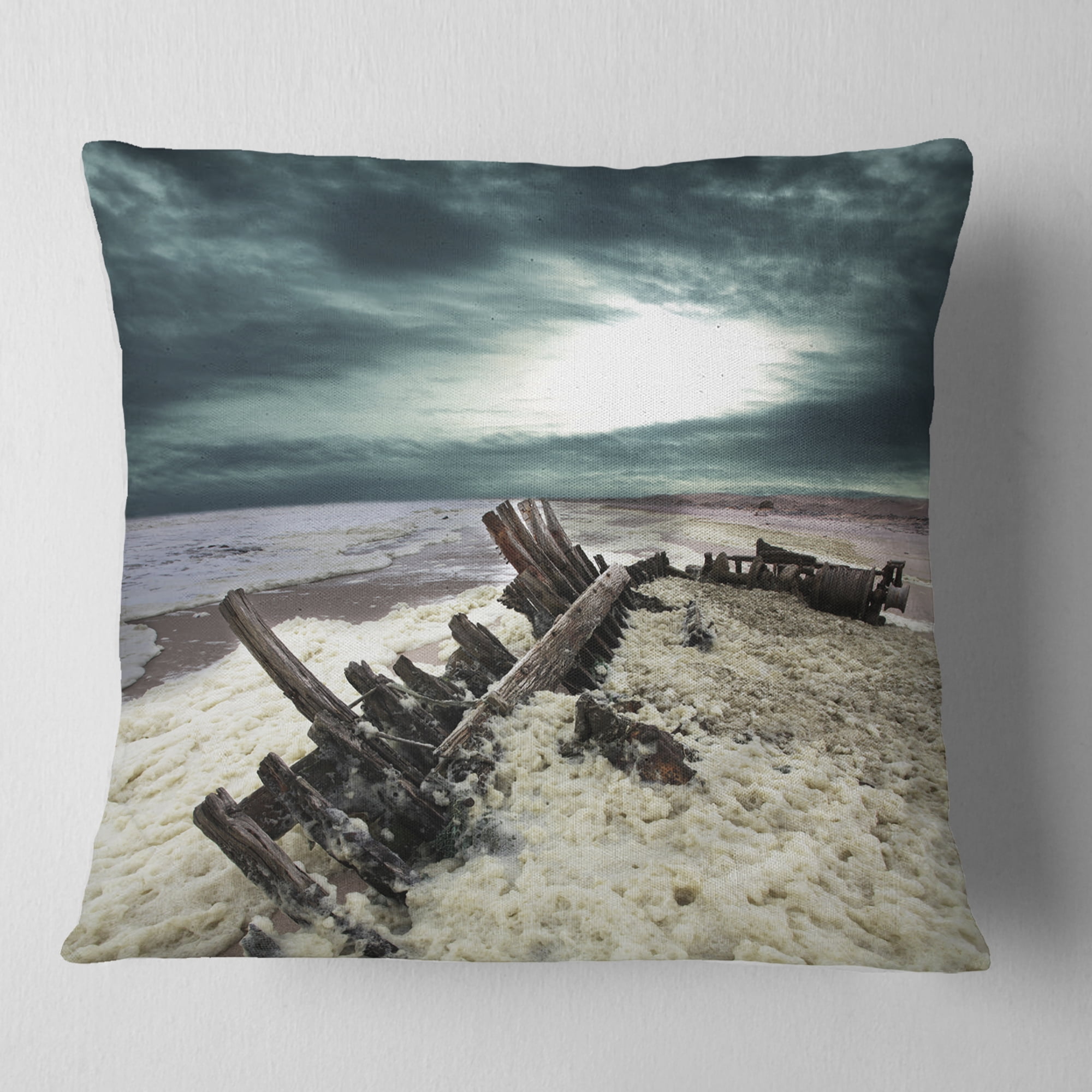 Designart Skeleton Coast National Park - Landscape Printed Throw Pillow - 16x16