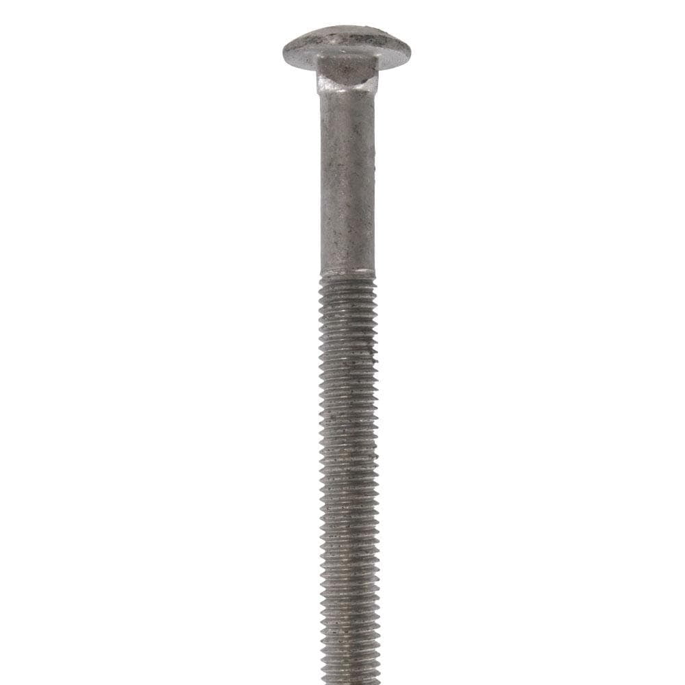 Everbilt 1/2 in.-13 x 8 in. Galvanized Carriage Bolt (25-Pack)