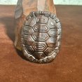 thumbnail image 1 of Ebony wood carving, a tortoise shell ornament symbolizing wealth and prosperity, a collectible item, a handheld piece, a home decoration, a creative handicraft., 1 of 3