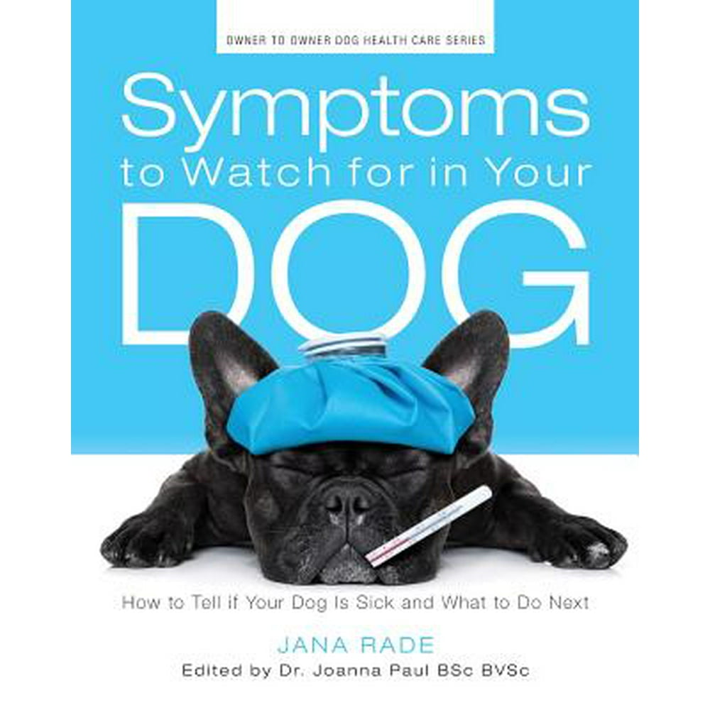Symptoms to Watch for in Your Dog How to Tell If Your Dog Is Sick and