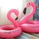 thumbnail image 2 of Anillo de natación inflable con forma de pájaro que cruje en llamas que aumenta el grosor del anillo de natación y evita la deriva, 2 of 5
