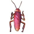 thumbnail image 1 of EYIIYE Oreiller Créatif Simulation 3D Cafard, Jouet en Peluche Insecte Farce, 1 of 10