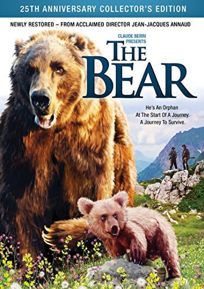 The Bear (DVD), Shout Factory, Action & Adventure - Walmart.com
