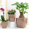 thumbnail image 4 of Walbest Self Watering Flower Pot, Self Watering PP Planter with Drainage Holes, for Indoor Outdoor Flowers Plants Windowsill, 4 of 7