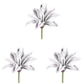 thumbnail image 5 of Vickerman 6-8" Artificial Frosted Succulents, Pack of 3, 5 of 6