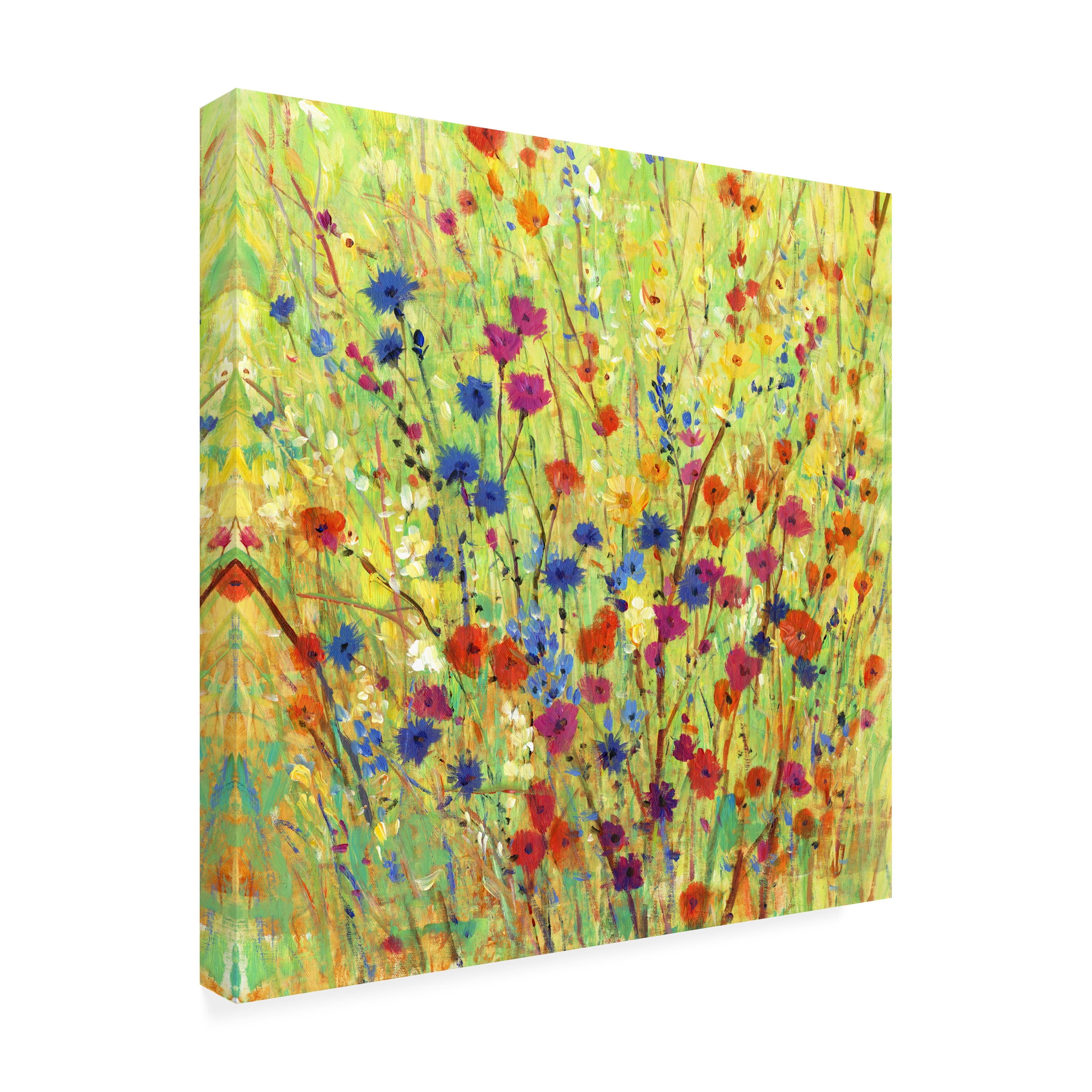Tim OToole 'Wildflower Patch I' Canvas Art