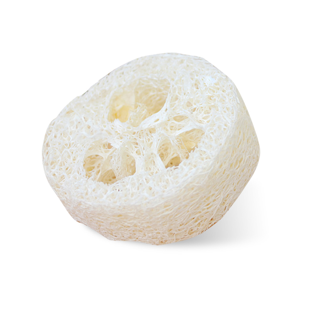 EcoFriendly Natural Kitchen Washing Up Sponge PlantBased