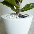 thumbnail image 3 of CoSoTower 2-Pack Smart Self-Watering Planter Pot for Indoor and Outdoor - White - Round Cone, 3 of 6