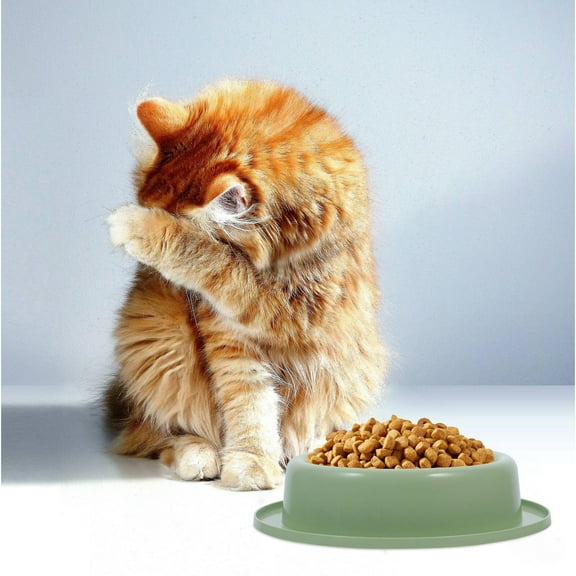 MLINS  Cat Food Bowl Slow Feeder Plastic Dog Puppy Feeding Bowls Green