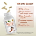 thumbnail image 4 of Andrew Lessman Energy & Fat Metabolism Factors 60 Capsules - Promotes Optimum Fat Burning and Energy Metabolism, with Carnitine, Green Tea, Guarana, Ginseng, B-Complex. Easy to Swallow Capsules, 4 of 5