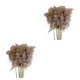 thumbnail image 1 of Naiovety 10x Natural Dried Pampas Reed Bouquet Bunch Decor Home Flower 2piezas 30-40 cm, 1 of 1