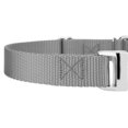 thumbnail image 6 of Country Brook Petz® Silver Heavyduty Nylon Martingale with Premium Buckle, Extra Small, 6 of 6