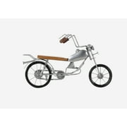 Silver Sterling Metallic Bike