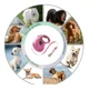 thumbnail image 2 of Correa Retráctil Para Perros 5 Mts Durable Hasta 40 Kg, 2 of 7