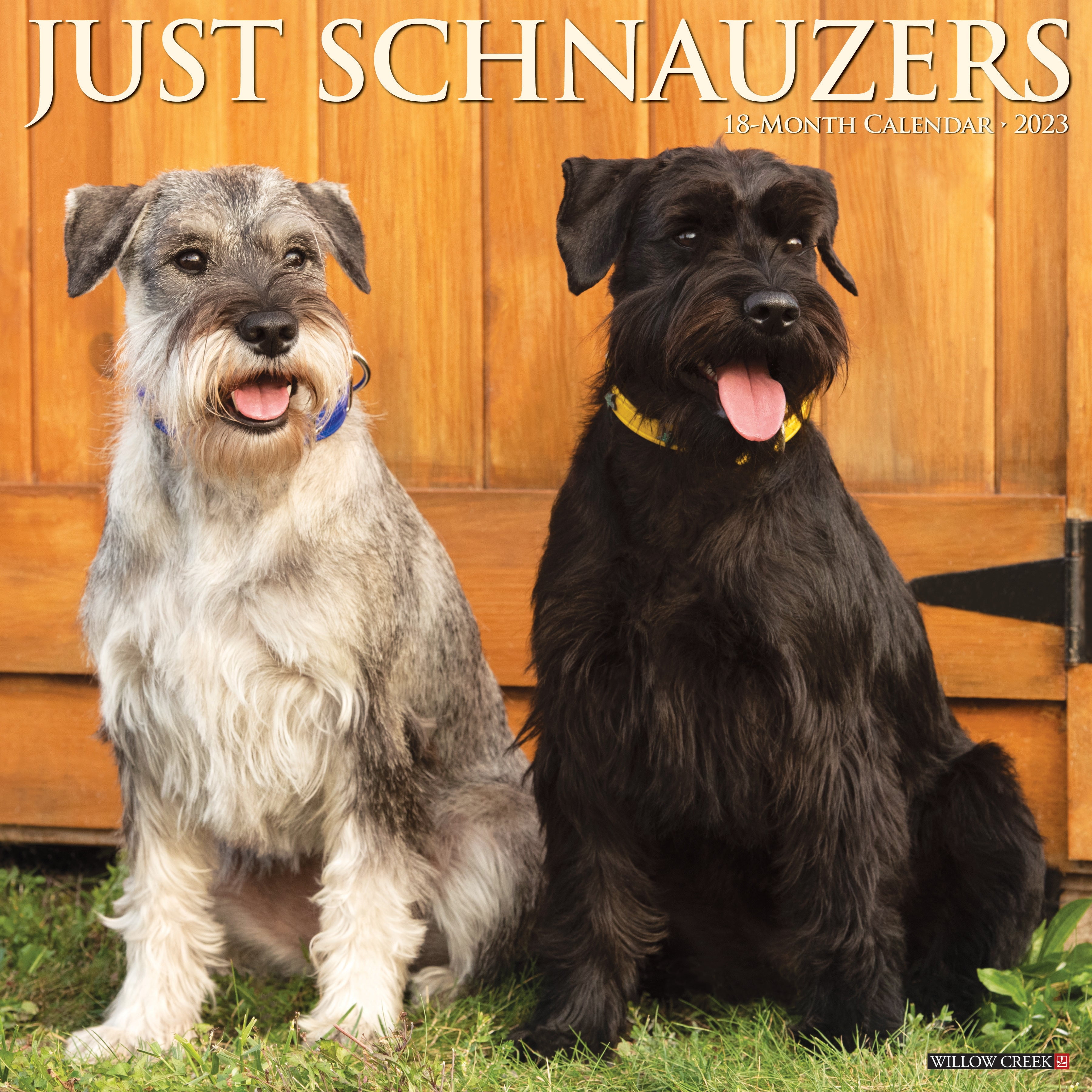 Just Schnauzers 2023 Wall Calendar