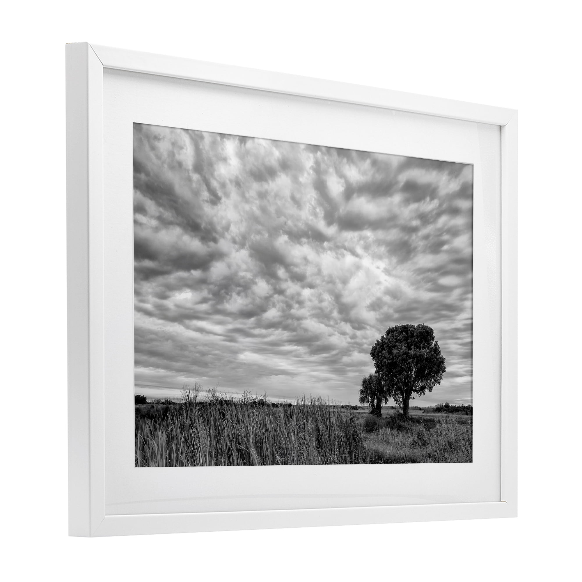 Stupell Industries Solitary Tree Beneath Clouds White Framed Print Under Glass, design by Jon Evan