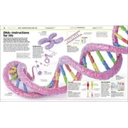 DK Knowledge Encyclopedias Knowledge Encyclopedia Human Body!: Human Anatomy as Youve Never Seen It Before, (Hardcover)