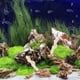 thumbnail image 4 of 1 juego de filtros de acuario reutilizables para acuario, sustrato de acuario, bolsa de malla de hueso de coral, material filtrante., 4 of 8