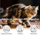 thumbnail image 3 of Pet Cat Suministra Gotas de Cuidado Del Cabello para el Abrigo Brillante, Aplicación Tópica Diaria a Temperatura Ambiente 60Ml, 3 of 9