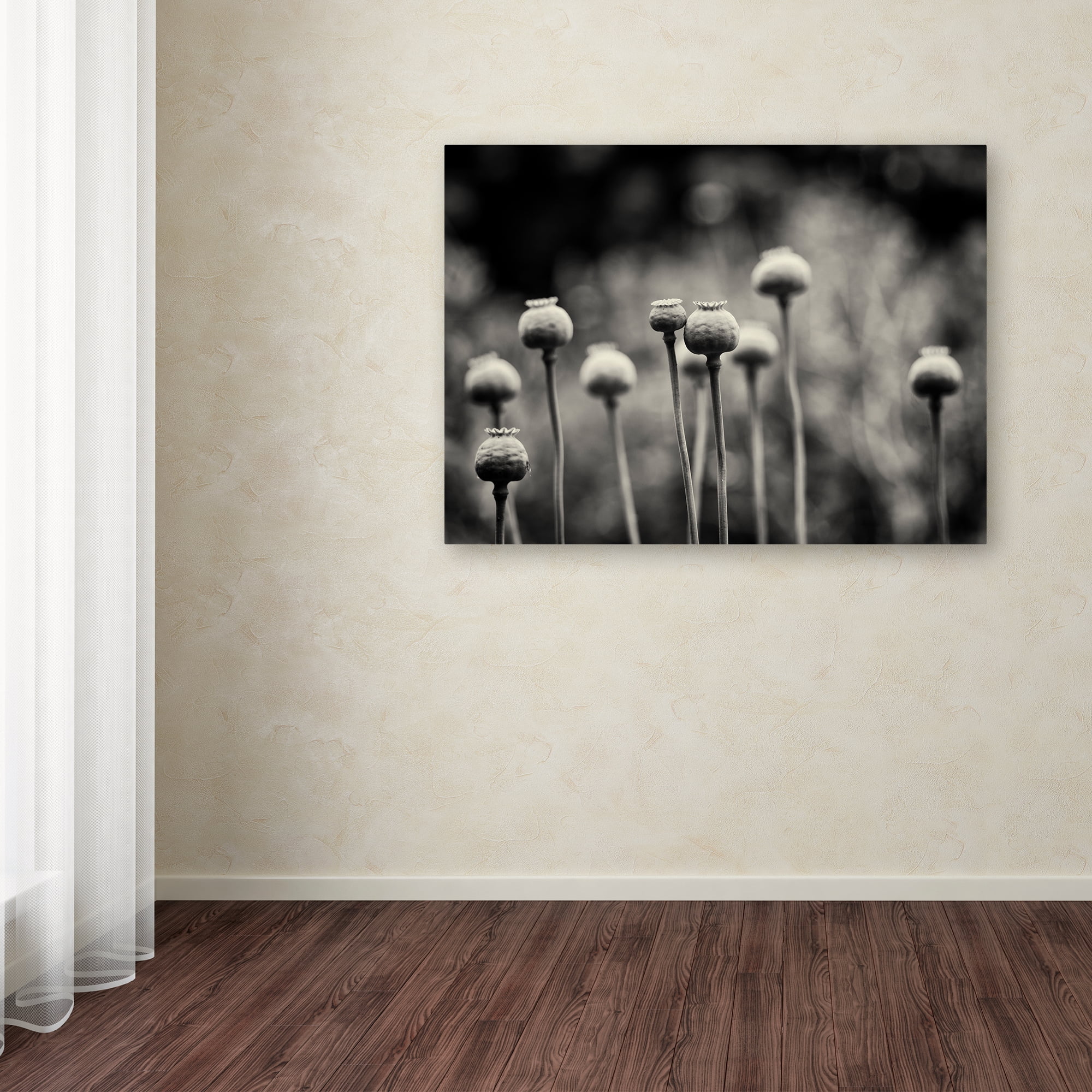 Trademark Fine Art 'Little Nemo In Slumberland' Canvas Art by Geoffrey Ansel Agrons