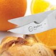 thumbnail image 2 of BergHOFF Essentials 9.75" Stainless Steel Poultry Shears, 2 of 3