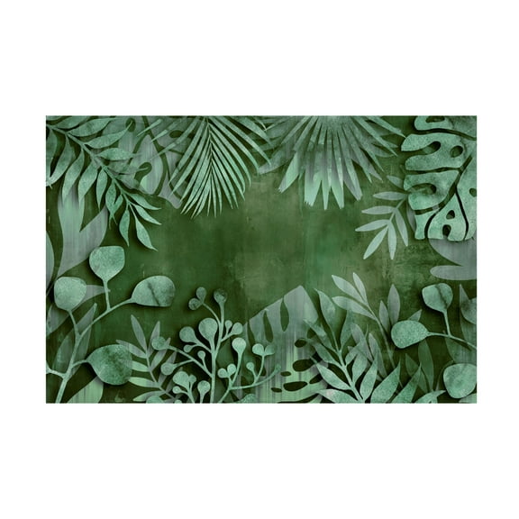Trademark Fine Art Andrea Haase Abstract Botanical No2 Canvas Wall Art