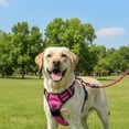 thumbnail image 2 of Nallwabiu No Pull Dog Harness Adjustable Vest with a Training Handle, Pocket, Easy to Put on & Take Off, With dog leash, 2 of 5
