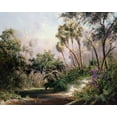 thumbnail image 2 of Fronckowiak, Art 14x12 Black Ornate Wood Framed with Double Matting Museum Art Print Titled - Myakka River Scene, 2 of 4
