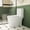 White#2, variant on Elongated Toilet, 1.1/1.6 GPF Elongated Comfort Height Floor Mounted One-Piece Toilet, CUPC Certified, WaterSense Cetified, Ceramic, White Color, Soft Close Seat, White Bidet Toilet,Two Piece Toilet