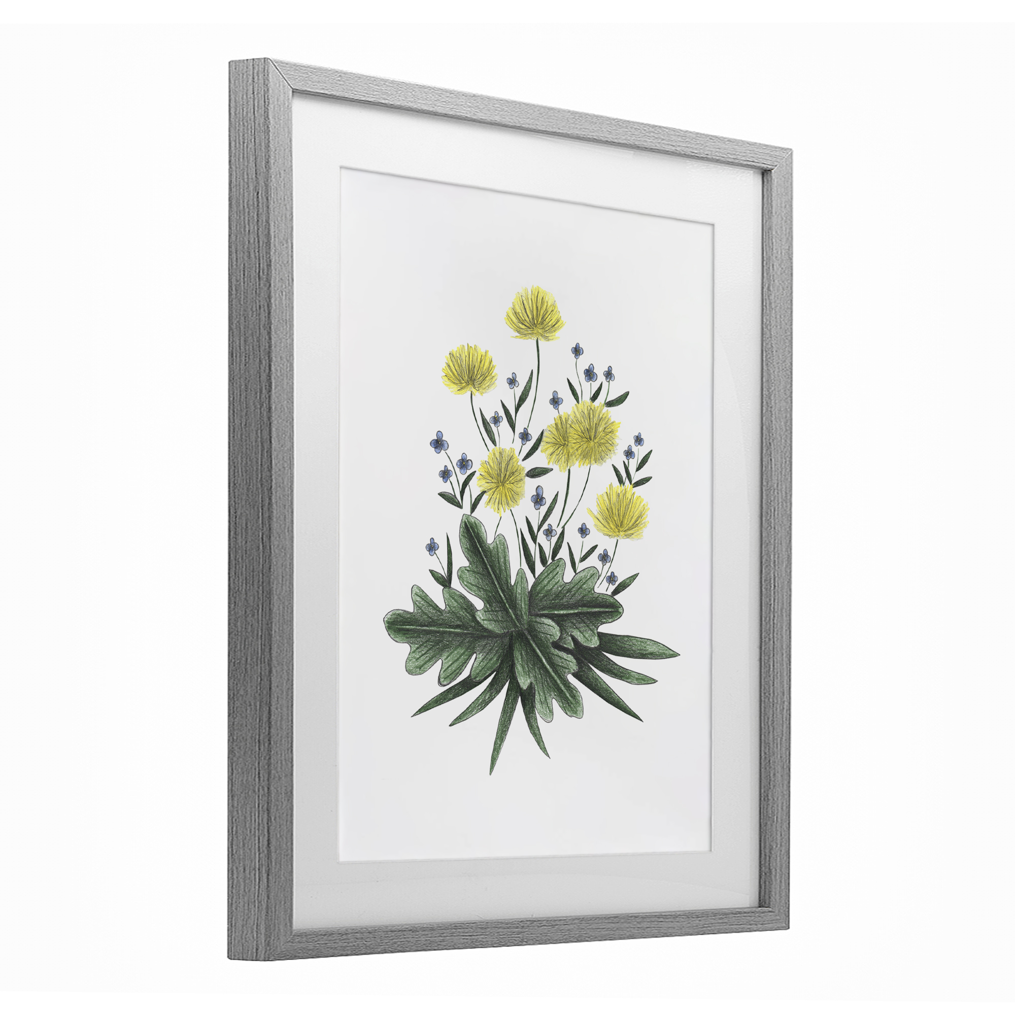 Dandelion Flower Illustration Gray Framed Print Under Glass, design by Cecilia Battaini