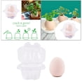 thumbnail image 4 of Planta en maceta de huevo Min Bonsai, maceta de jardinería para interiores y exteriores, plantación para , tarea Rosada Soledad Plantadora de huevos, 4 of 10