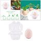 thumbnail image 5 of DIY Min Bonsai maceta planta jardinería maceta macetas decoración del hogar Albahaca verde Zulema Plantadora de huevos, 5 of 8