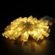 thumbnail image 4 of Photo Clip String Lights 5m 50 LED Dormitorio de la luz de hadas Decoración de la sala de estar, 4 of 5