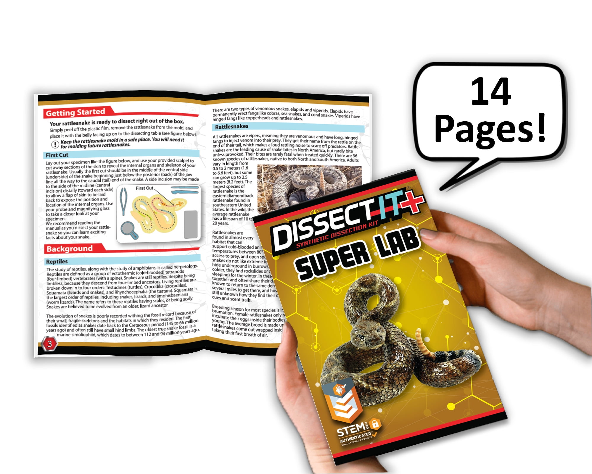 Dissect It Rattlesnake Superlab Dissection Kit for Kids, Realistic Anatomy Experience