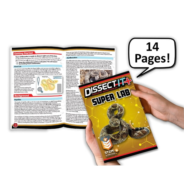 Dissect It Rattlesnake Superlab Dissection Kit for Kids, Realistic