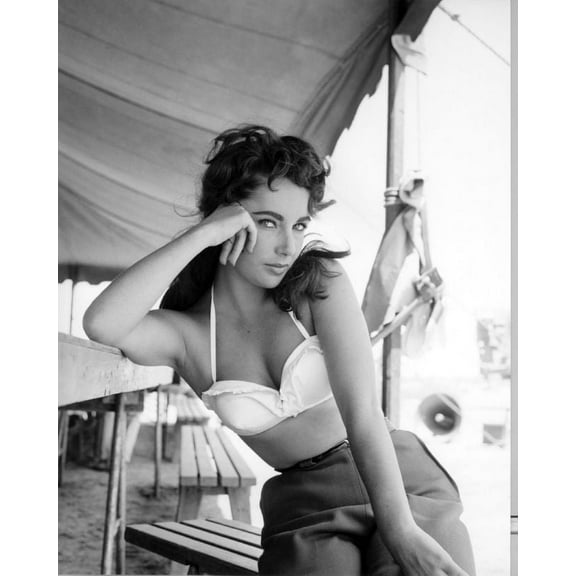 Best Posters Elizabeth Taylor Poster 11Inx17In Mini Poster Bw Photo 11Inx17In Mini Poster 11x17 Poster Color Category: Multi, Unframed, Ages: Adults, Rectangle