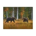 thumbnail image 2 of Spring Forest Bears Nature Wilderness Photography Canvas Wall Art for Home Decor Ready-to-Hang, 2 of 7