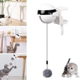 thumbnail image 2 of POINTERTECK Electric Lifting Motion Cat Toy Interactive Puzzle Cat Teaser Ball Pet Lift Toys, 2 of 6