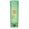 Garnier Fructis Sleek & Shine Zero Conditioner 12 fl oz (Pack of 2)